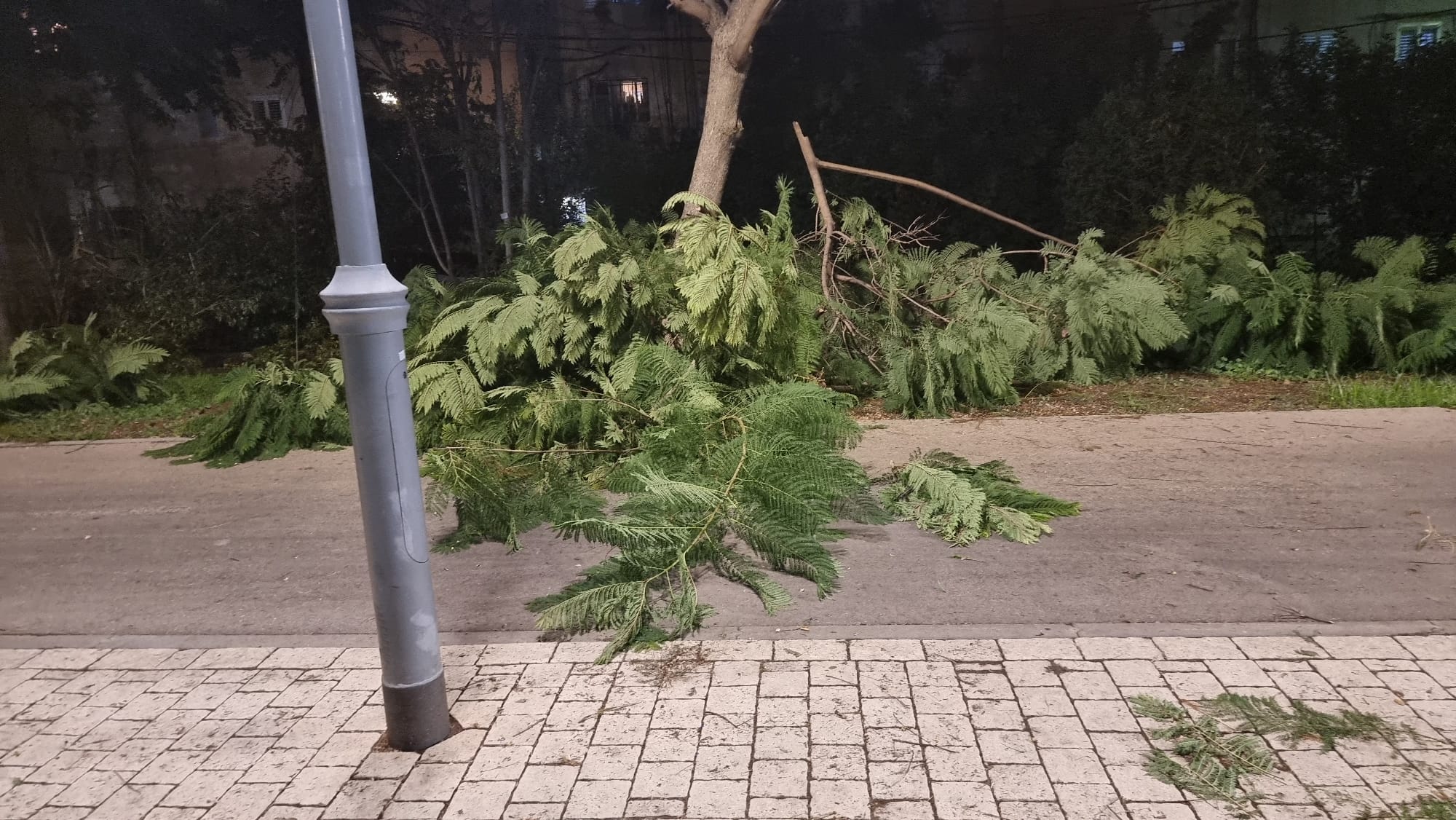 WhatsApp Image 2022-11-09 at 12.22.09 PM.jpeg